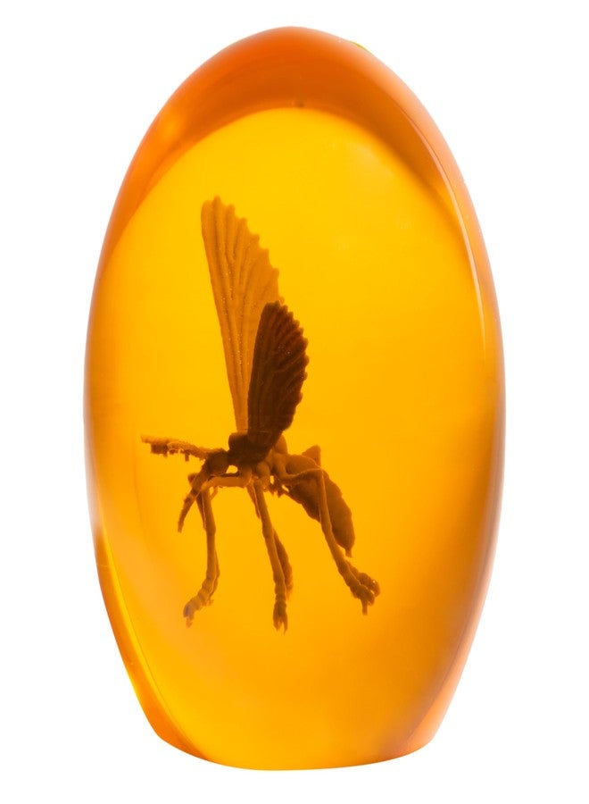 Costume Agent Prehistoric Mosquito in Amber Replica Resin Dinosaur Collectible 3D Unique Paperweight & Halloween Prop - Image 4