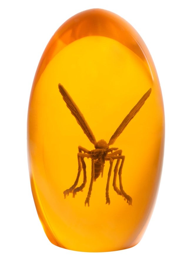 Costume Agent Prehistoric Mosquito in Amber Replica Resin Dinosaur Collectible 3D Unique Paperweight & Halloween Prop - Image 3
