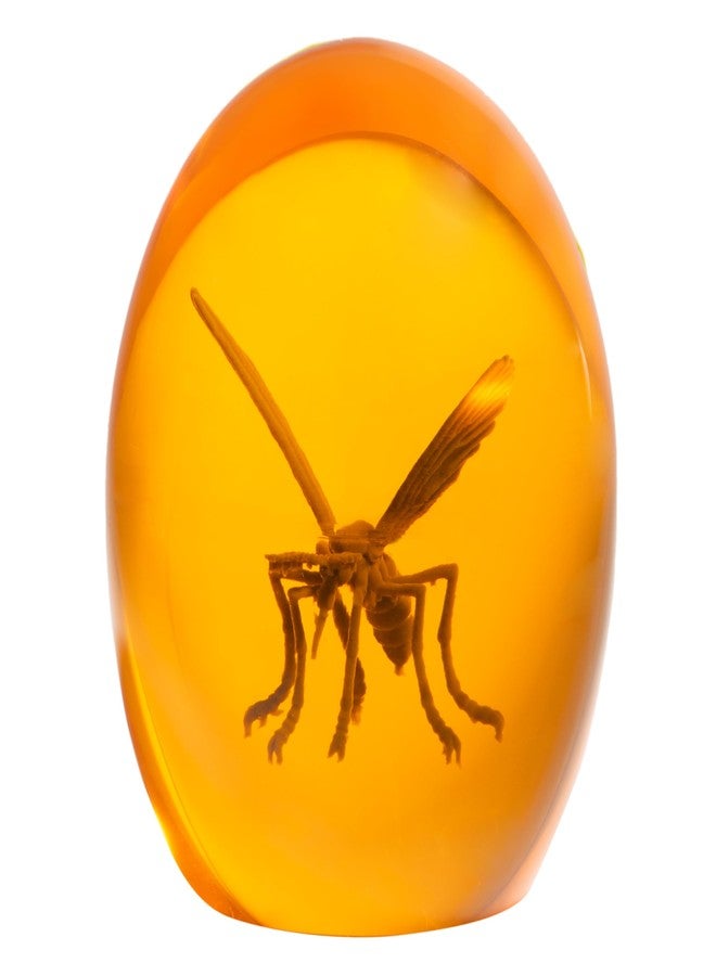 Costume Agent Prehistoric Mosquito in Amber Replica Resin Dinosaur Collectible 3D Unique Paperweight & Halloween Prop - Image 2