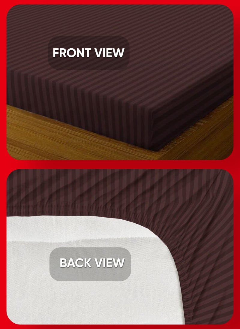 BROWN Deep Pocket Single Size Striped Bed Sheet Set Cotton 100x200+20cm