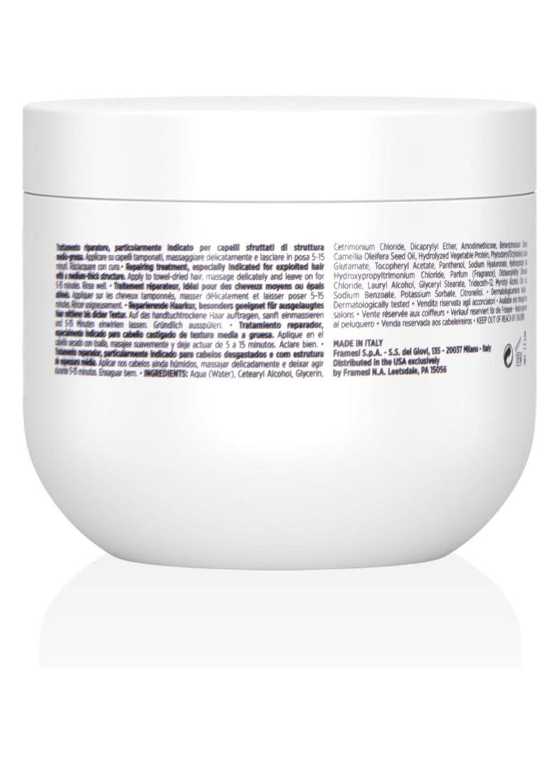 framesi MORPHOSIS REPAIR RICH TREATMENT 250ML - Image 2
