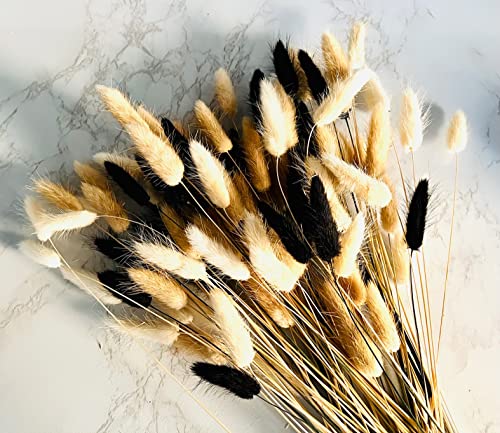 RyddeligHome 100 Stems Bunny Tails Pampas Grass Dried Flowers - 30pcs Black, 30pcs White, 40pcs Natural Brown, Boho Home & Kitchen Decor, Pampas Grass Decor - Image 5