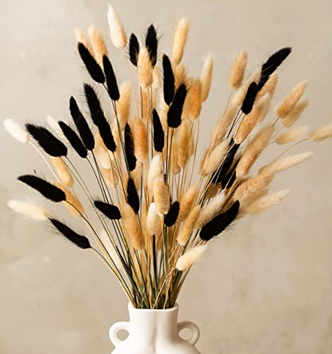 RyddeligHome 100 Stems Bunny Tails Pampas Grass Dried Flowers - 30pcs Black, 30pcs White, 40pcs Natural Brown, Boho Home & Kitchen Decor, Pampas Grass Decor - Image 1