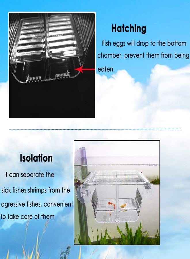 capetsma Fish Breeding Box, Acrylic Fish Isolation Box with Suction Cups, Aquarium Acclimation Hatchery Incubator for Baby Fishes Shrimp Clownfish and Guppy... Small Size (S) - Image 2