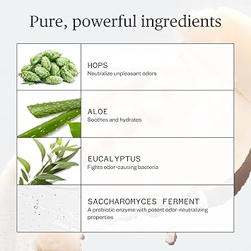 Ursa Major Natural Deodorant Hoppin Fresh AluminumFree Nonstaining CrueltyFree Formulated for Men and Women 26 Ounces - Image 3