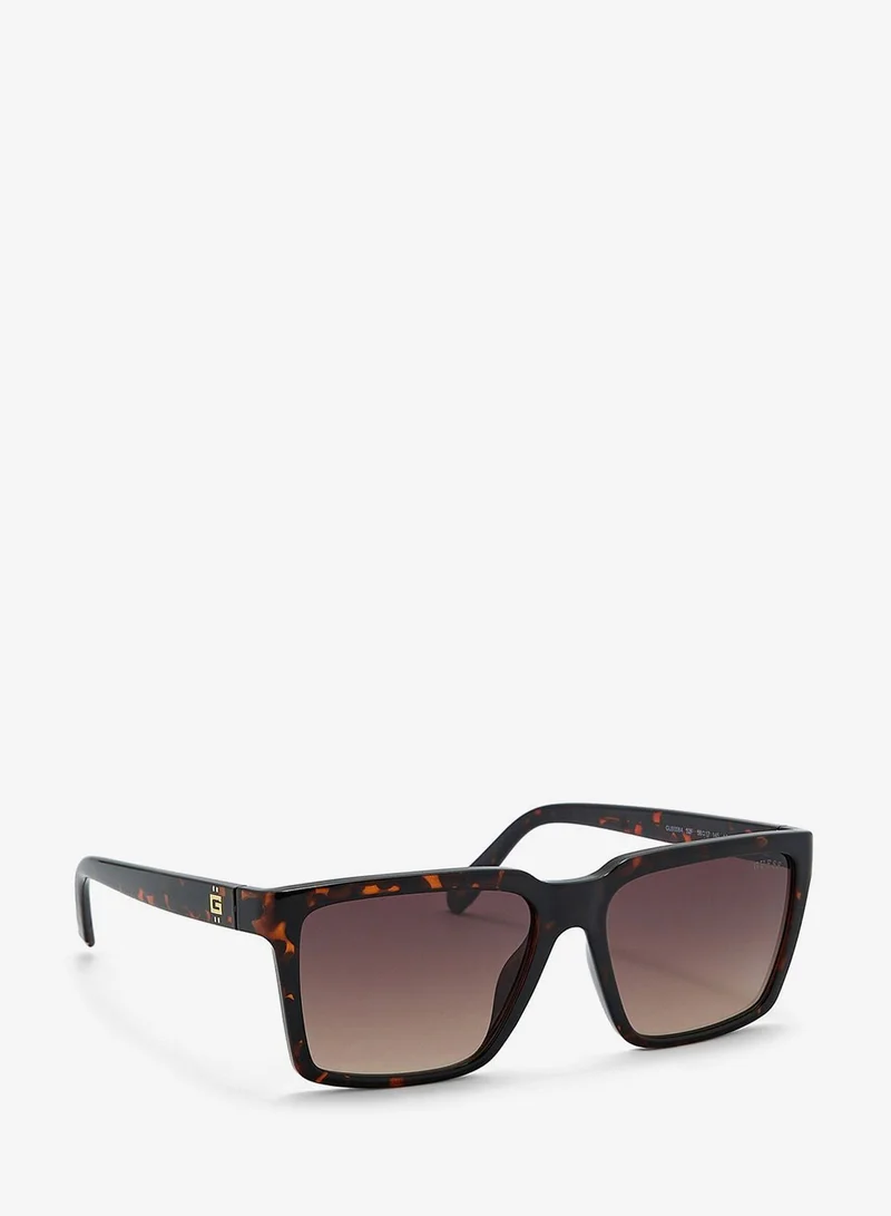 Tortoiseshell Full Rim Sunglasses
