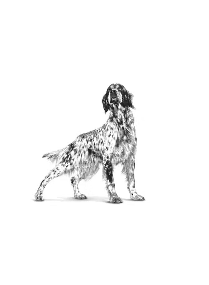 Royal Canin Renal Dry Dog Food – Tailored Nutrition for Chronic Renal Insufficiency – Supports Kidney Function & Appetite 7Kg - Image 2