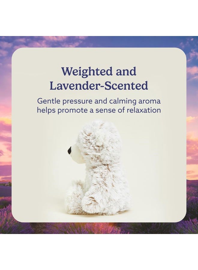 Warmies microwavable French Lavender Scented Blue Marshmallow Bear - Image 3