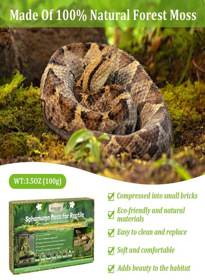 Legigo 3.5 OZ Sphagnum Moss for Reptile- 4 QT Natural Reptile Moss Terrarium Moss Substrate, Snake Tank Moss Peat Moss Reptile Bedding for Snake, Gecko, Ball Python, Frog and Orchids Plants - Image 3