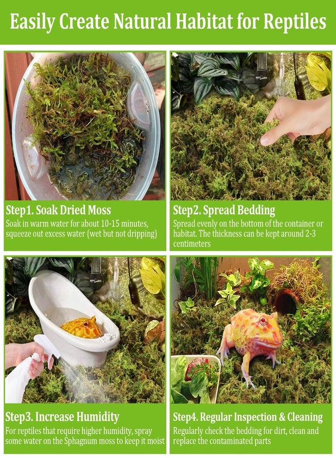 Legigo 3.5 OZ Sphagnum Moss for Reptile- 4 QT Natural Reptile Moss Terrarium Moss Substrate, Snake Tank Moss Peat Moss Reptile Bedding for Snake, Gecko, Ball Python, Frog and Orchids Plants - Image 4