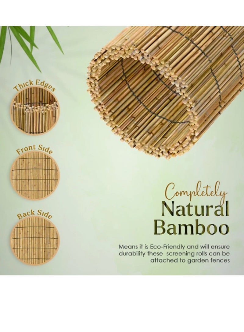 FFD Bamboo Reed Privacy Fence– Natural Bamboo Blinds & Lattice Willow Fence for Outdoor Garden, Patio, Yard, Balcony, or Terrace – Eco-Friendly Bamboo Fence Rolls for Privacy, Shade & Decorative Garden Décor - Image 4