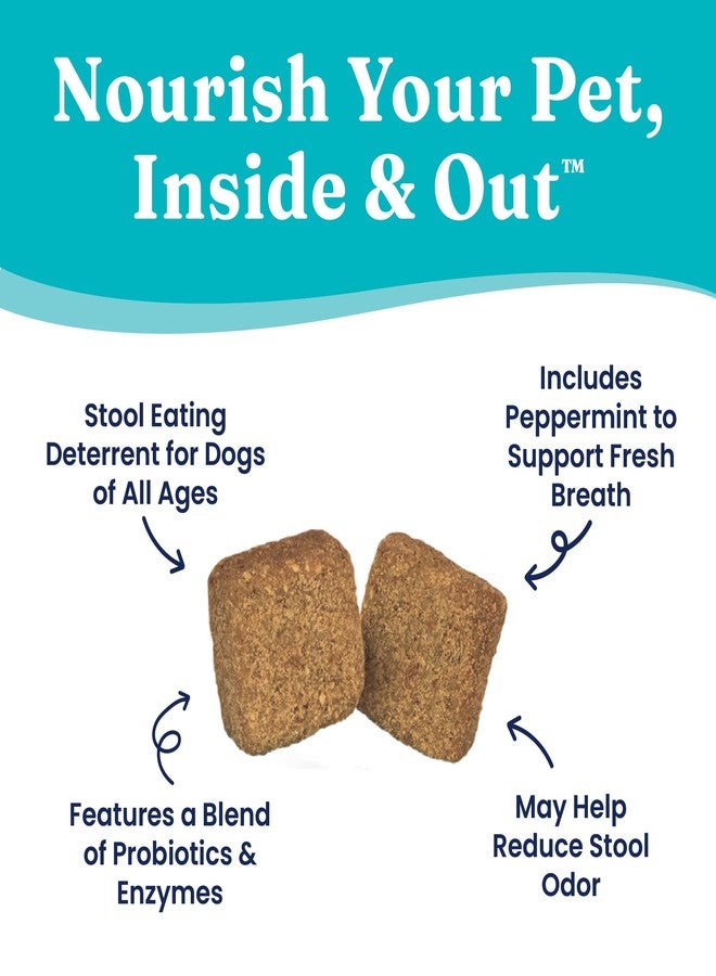Solid Gold No Poo Chews for Dogs - Coprophagia Deterrent & Stool Eating Deterrent for Dogs That Eat Dog Poop - Stop Eating Poop Chews with Peppermint & Probiotics for Gut & Breath Aid Support - 60ct - Image 3