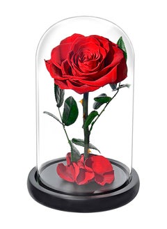 Perfii Preserved Forever Rose in Luxury Glass Dome - Eternal Flower Gift for Valentine's Day, Wedding Anniversary, and Birthday  - Image 1