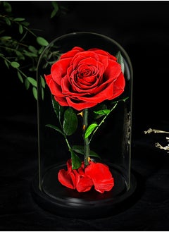 Perfii Preserved Forever Rose in Luxury Glass Dome - Eternal Flower Gift for Valentine's Day, Wedding Anniversary, and Birthday  - Image 5