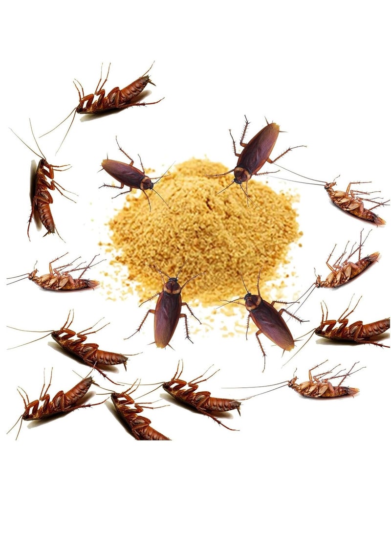 10 Pack Effective Cockroach Killer Roach Baits Trap Killing Powder for Household Use Indoor