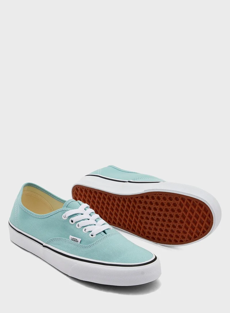 VANS Authentic