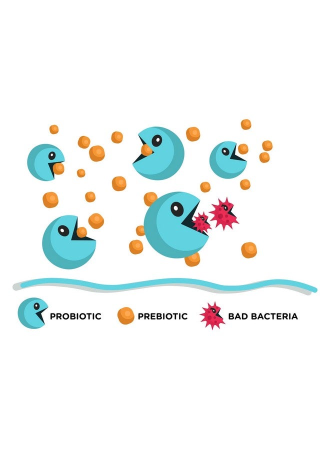 Lean & Pure Prebiotic & Probiotic, 25 Billion Live and Shelf Stable Cultures, 30 Count, Non GMO, Vegetarian, Gluten Free - Image 2