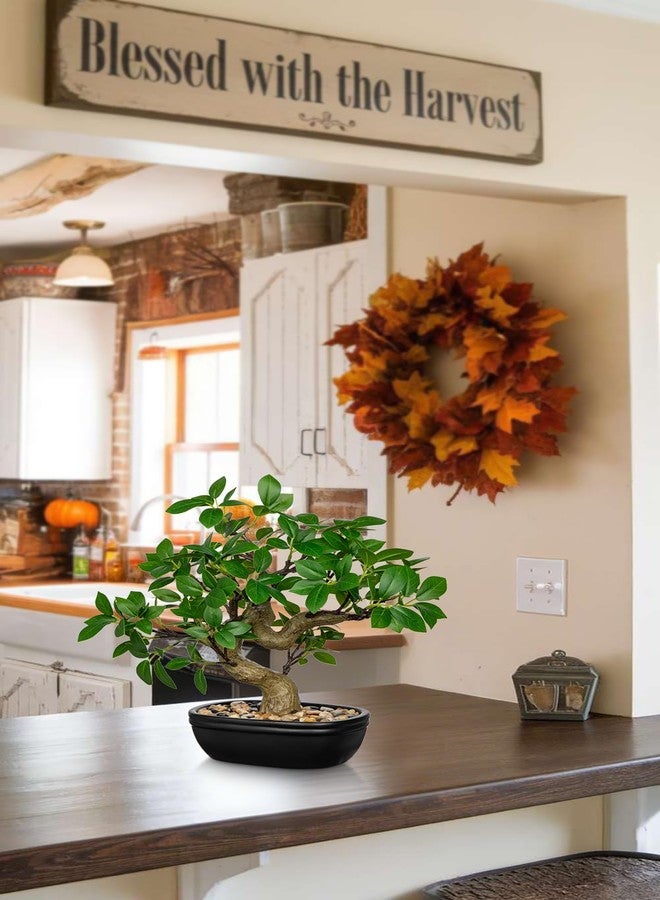 Briful Artificial Bonsai Tree 12.9 Inch Faux Ficus Plant in Ceramic Pot with Pebbles Fake Green Potted Plant for Home Office Desk Decor Indoor Zen Table Centerpiece, Small Artificial Plants for Living Room - Image 5