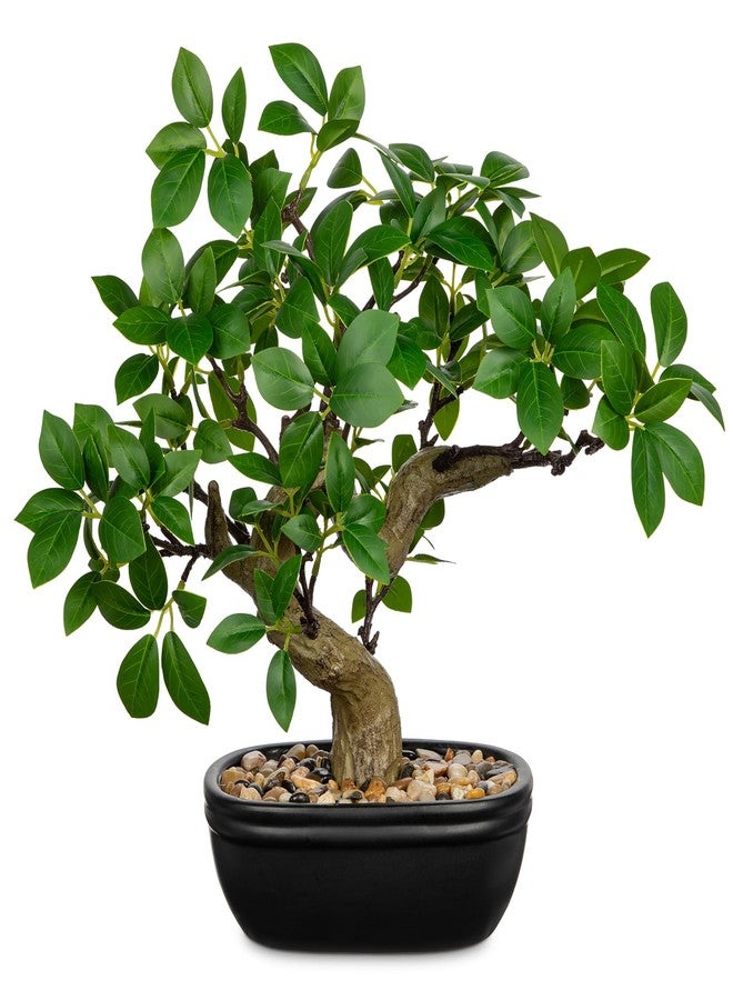 Briful Artificial Bonsai Tree 12.9 Inch Faux Ficus Plant in Ceramic Pot with Pebbles Fake Green Potted Plant for Home Office Desk Decor Indoor Zen Table Centerpiece, Small Artificial Plants for Living Room - Image 1