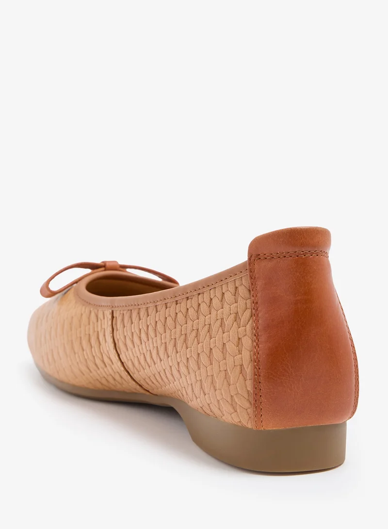 لوريان Paloma - Ballerinas