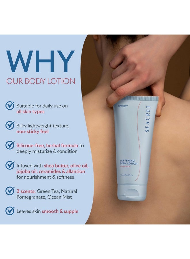 SEACRET POMEGRANATE BODY LOTION: Daily Moisturizing Lotion with Dead Sea Minerals, Chamomile, Avocado Oil, Aloe Vera, Vitamin A & E for All Skin Types, 6.8 Oz - Image 3