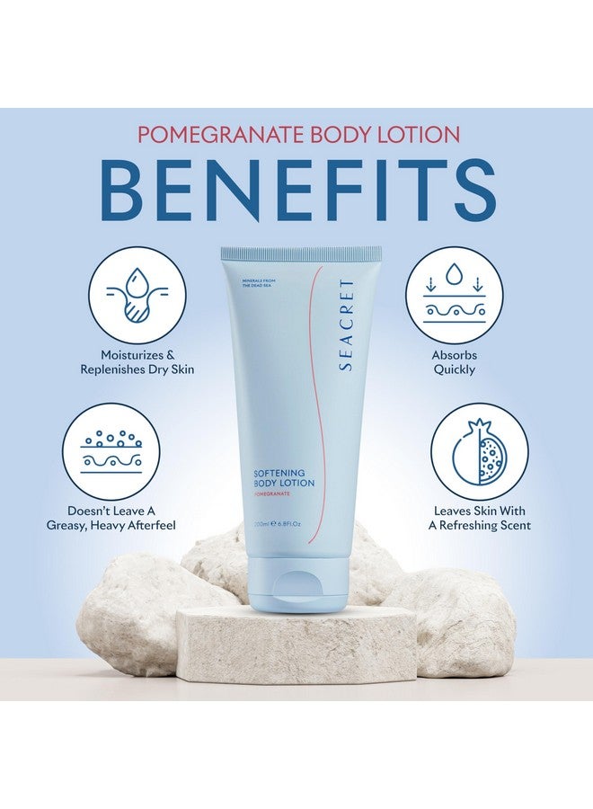 SEACRET POMEGRANATE BODY LOTION: Daily Moisturizing Lotion with Dead Sea Minerals, Chamomile, Avocado Oil, Aloe Vera, Vitamin A & E for All Skin Types, 6.8 Oz - Image 4