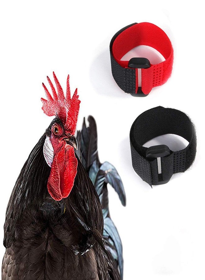 GANPUB 2Pcs Red Crow Rooster Collar, Crow Collar Rooster CollarNo Crow Noise Neck Belt for Roosters Collars, Harnesses and Leashes Nylon Prevent Chickens from Screaming Basic Dog Collars Basic Collars - Image 4