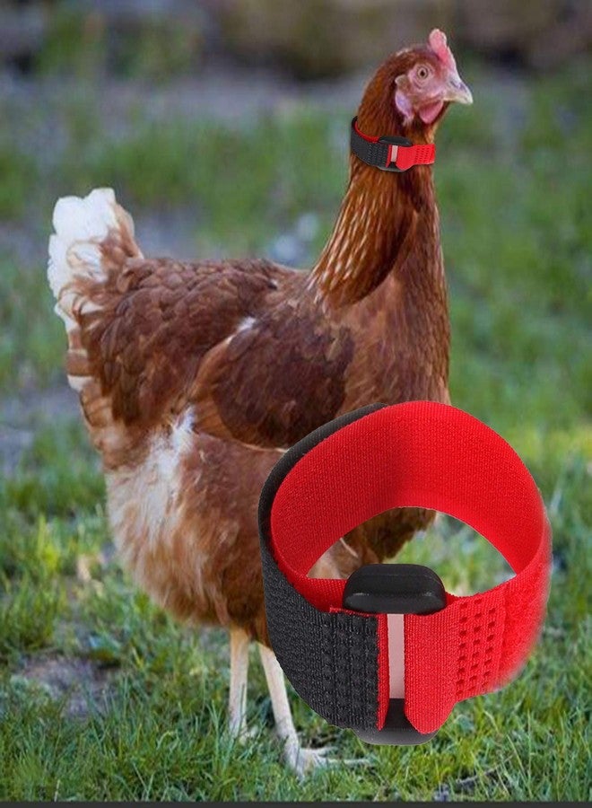 GANPUB 2Pcs Red Crow Rooster Collar, Crow Collar Rooster CollarNo Crow Noise Neck Belt for Roosters Collars, Harnesses and Leashes Nylon Prevent Chickens from Screaming Basic Dog Collars Basic Collars - Image 3