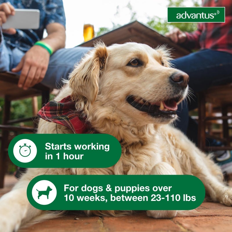 Advantus Dog Fast Acting Oral Flea Treatment Soft Chews Dogs 23 - 110 lbs. | 7 ct. - Image 4