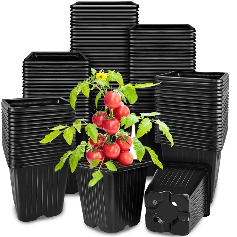 Anyumocz 100Pcs Square Plant Nursery Pots,3.5 Inch Plastic Pots with Drainage Holes,Reusable Seed Starter Pots for Flowers,Vegetables,Garden Planting,Transplanting,Succulents,Cuttings(Black) - Image 1