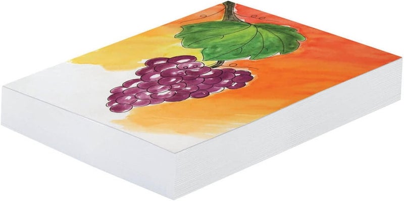 Mixed Media Art Paper, Heavyweight, 18" x 24", 500 Sheets