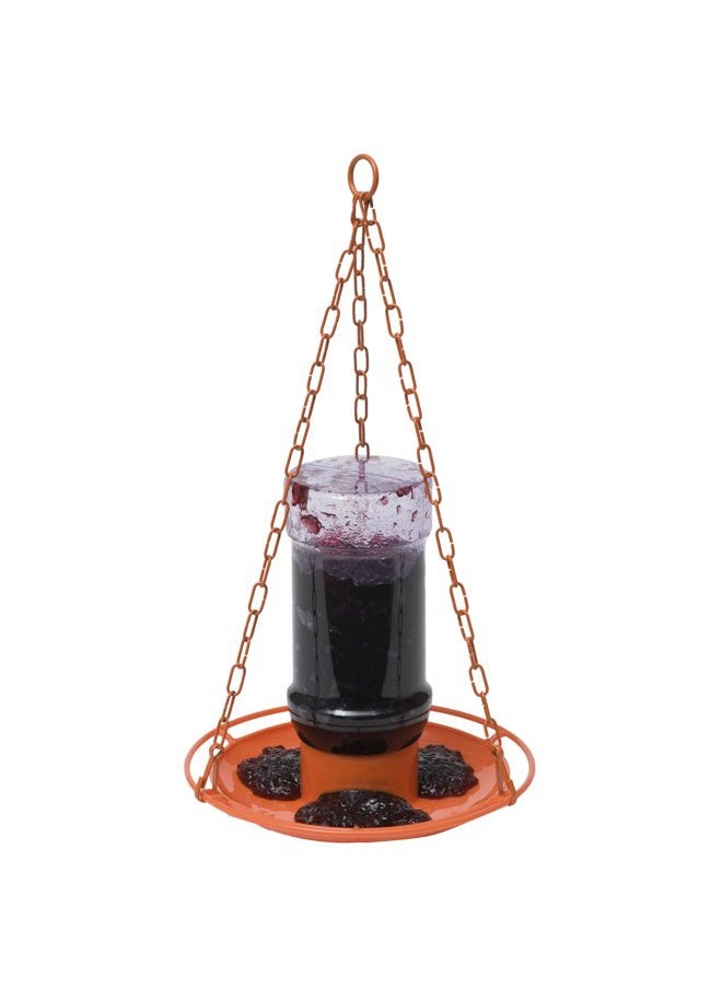 Perky-Pet 253 Wild Oriole Jelly Bird Feeder - 32 Ounce Feeder Capacity  - Image 1