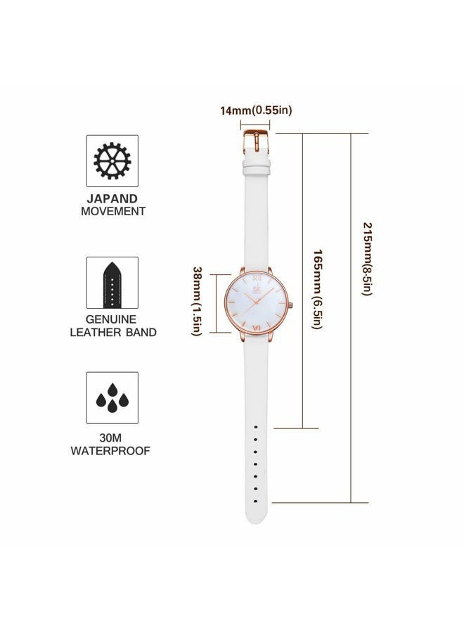 shengke Creative Simplicity Women Watch Genuine Leather Elegant Women Watches Ladies Business Wristwatch(Black) (Rosegold-Natural Shell Dial) - Image 5