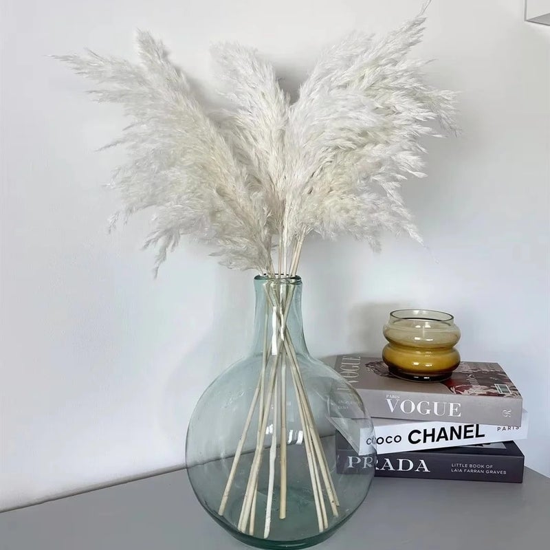 Bluejw Premium Dried Pampas Grass Reed Decor - Natural Tall Fluffy Plumes - Perfect for Home, Wedding & Boho Decorations - High Quality Dried Plants Supply - Image 3