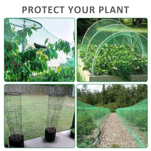 RK Trends Bird Netting | Heavy-Duty Anti-Bird Protection for Garden, Fruit Trees, and Vegetables | Durable (10 x 100) - Image 2