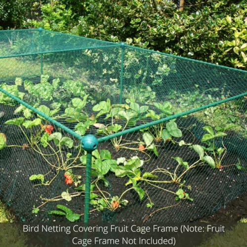 RK Trends Bird Netting | Heavy-Duty Anti-Bird Protection for Garden, Fruit Trees, and Vegetables | Durable (10 x 100) - Image 4