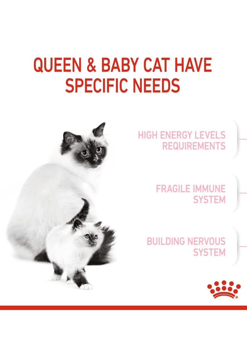 رويال كانين تغذية صحية للقطط والأم والقطط 4 كجم - Image 3