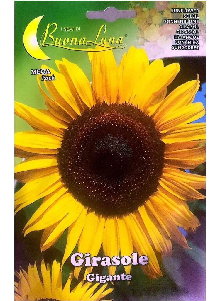 Buona Luna - Sunflower Seeds - Image 1