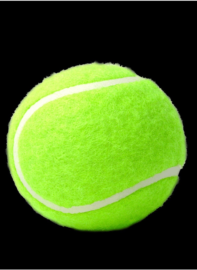 Werkon Tennis Ball Pack OF 1  - Image 5