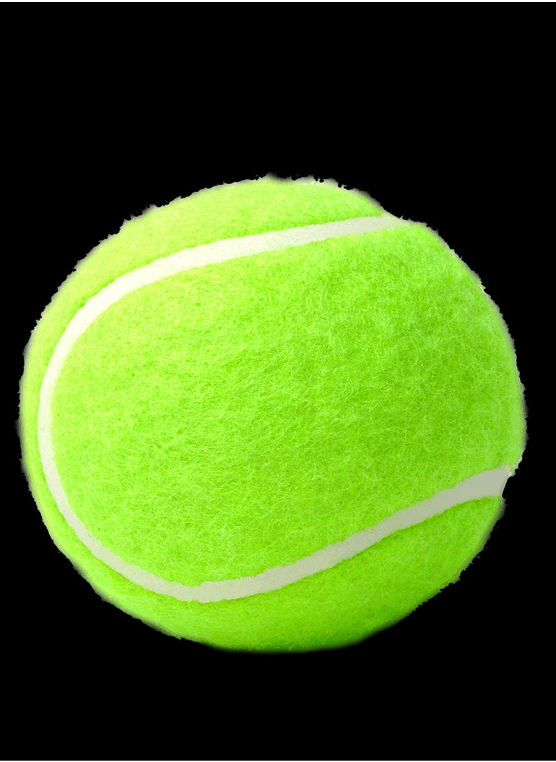 Werkon Tennis Ball Pack OF 1  - Image 1
