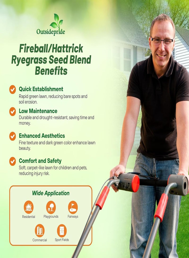 GGOOT Fireball & Hattrick Rye Grass Seed Blend - 25 gs. Wear Tolerant, Fine Leaf Texture Perennial Rye Grass Seeds for Lawn, Sports Turf & More, OptiGrowth Coated for Better Establishment - Image 3