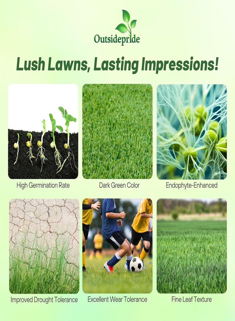 GGOOT Fireball & Hattrick Rye Grass Seed Blend - 25 gs. Wear Tolerant, Fine Leaf Texture Perennial Rye Grass Seeds for Lawn, Sports Turf & More, OptiGrowth Coated for Better Establishment - Image 2