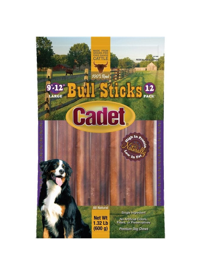 Cadet 9-12" Bull Sticks, 12 CountQ - Image 1