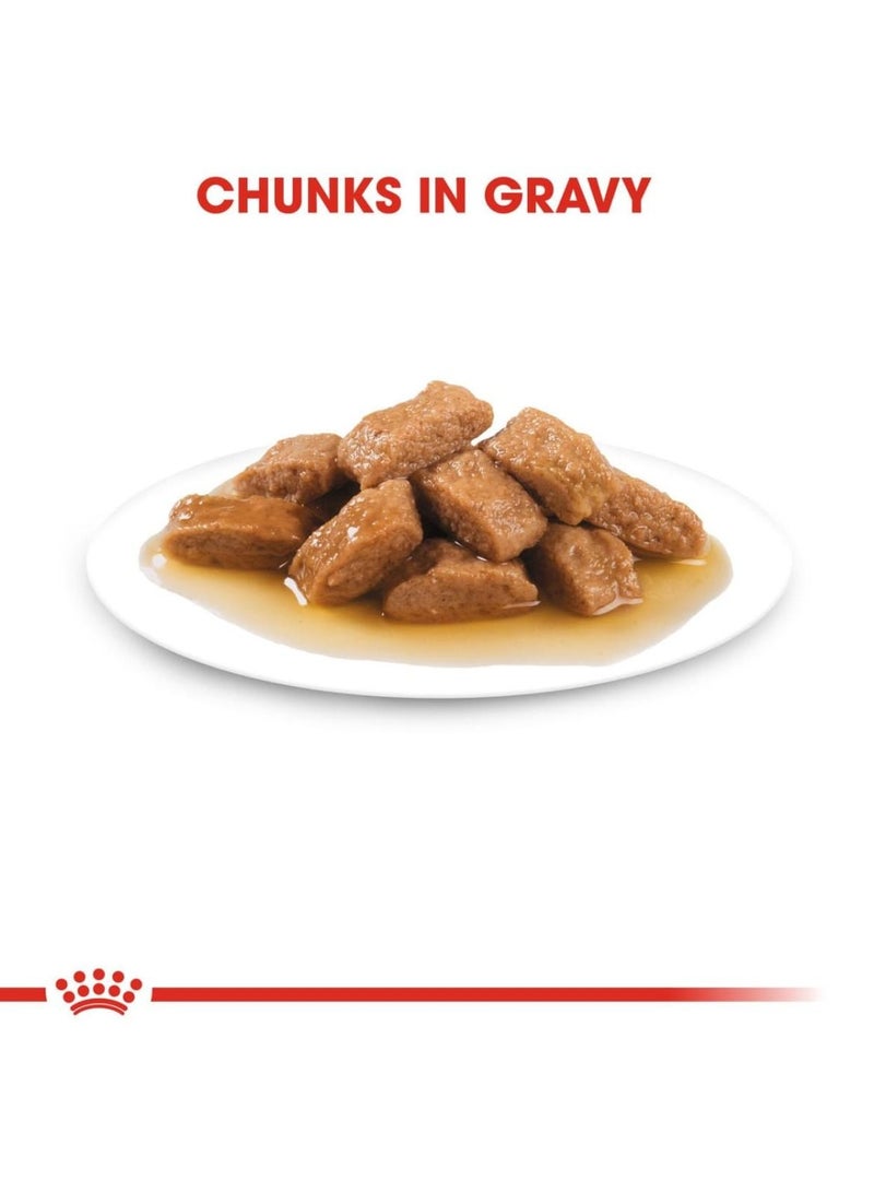 ROYAL CANIN Medium Adult Chunks in Gravy Dog Wet Food 10x140g - Image 5