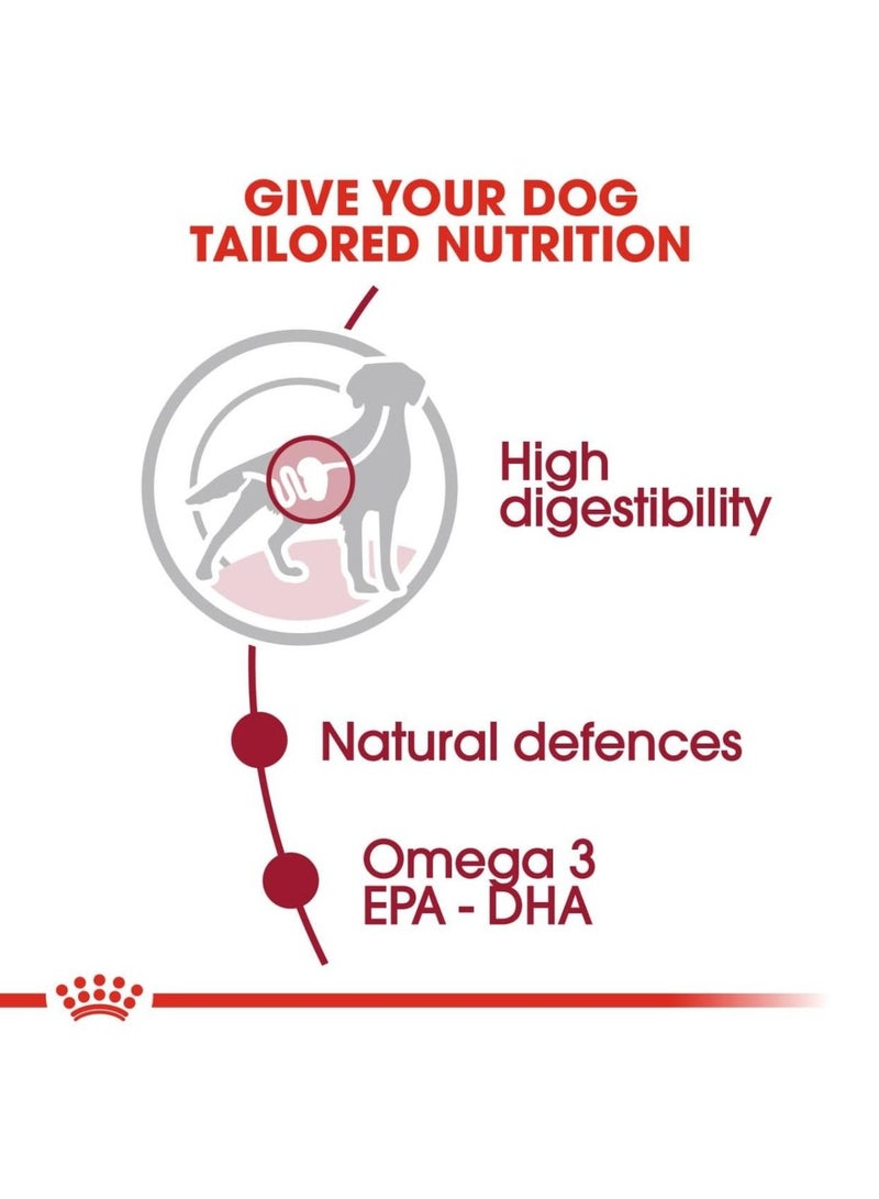 ROYAL CANIN Medium Adult Chunks in Gravy Dog Wet Food 10x140g - Image 4