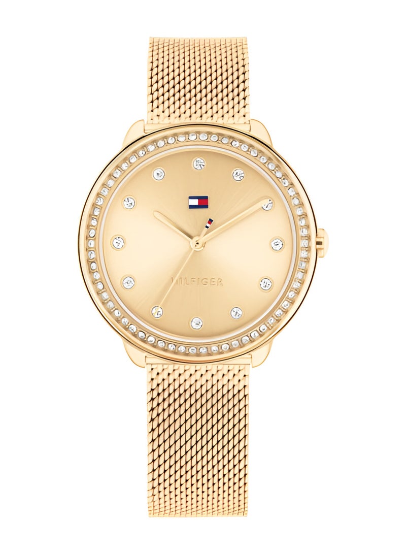 TOMMY HILFIGER Tommy Hilfiger Watch For Women 1782699 - Image 1