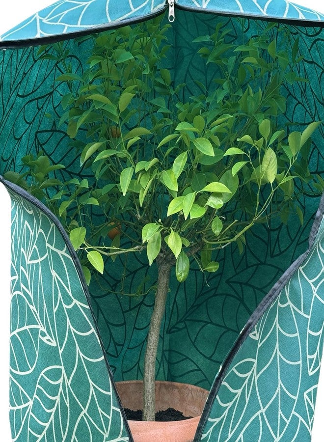 UB-STORE Plant Covers Freeze Protection 24"x32" in 4 Pack | Green Winter Frost Blankets for Outdoor Plants | Reusable Garden Cover Bags with Zipper Drawstring | Cold Weather Shrub Protection Cloth - Image 5