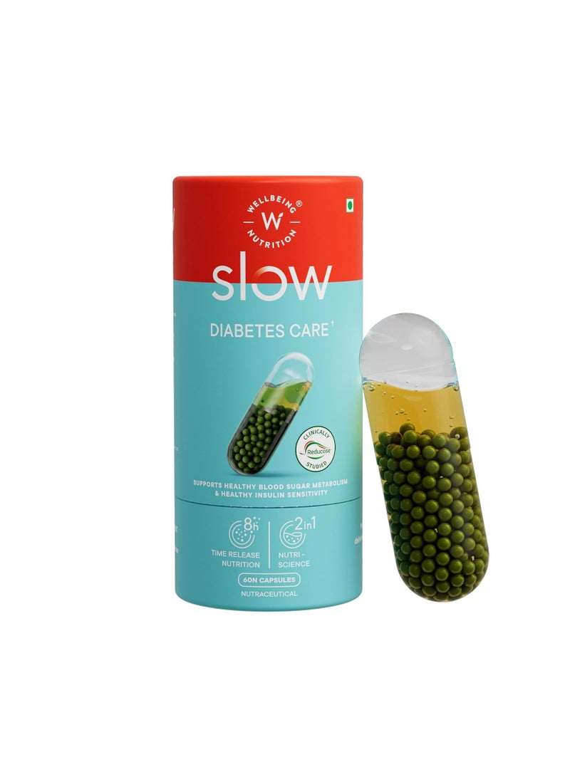 WELLBEING NUTRITION Slow Diabetes Care with Clinically Proven Reducose, Gudmar, Berberry, Cinnamon, Karela | Help Manage Blood Sugar, Diabetic & Pre-Diabetic Care for Glucose Metabolism, 60 Veg Capsules - Image 1