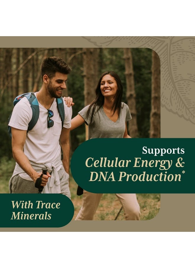 Gaia Herbs - Gaia Pro Liquid Magnesium With Trace Minerals Magnesium To Support Dna  Cellular Energy With Magnesium Chloride Potassium  Trace Minerals 4 Fl Oz 48 Servings - Image 1