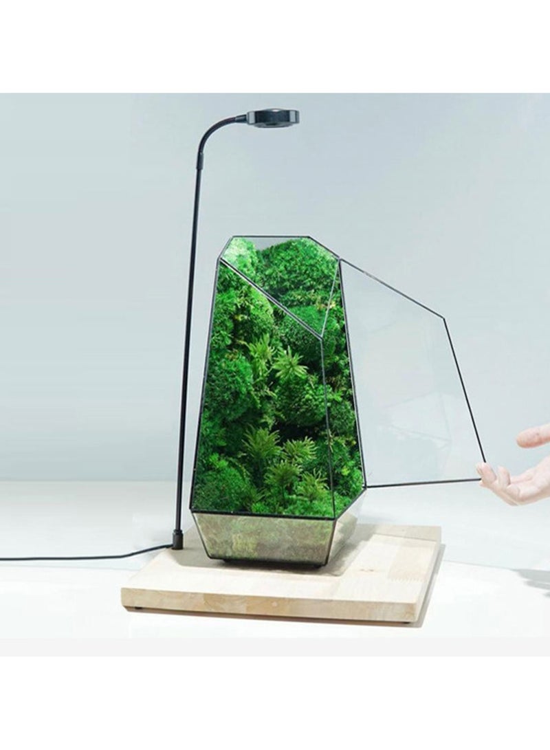 حوض تيراريوم بالوداريوم - Image 2